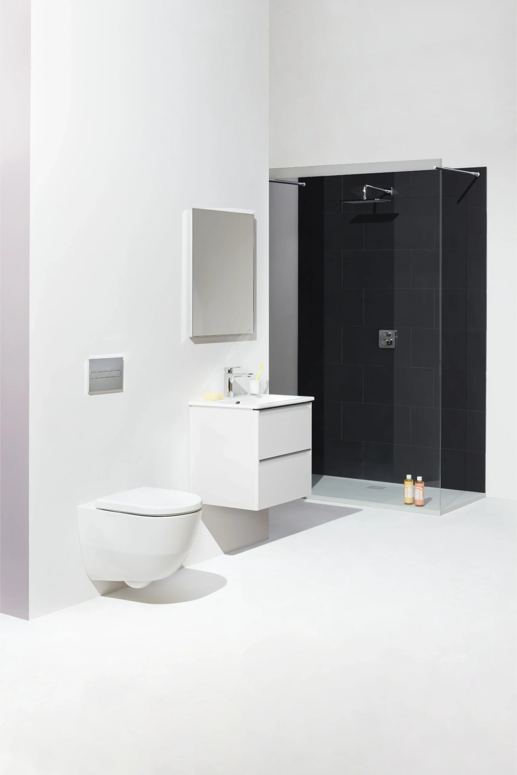 AP01_LAUFEN_PALACE_PRO_PROMarbond_TJ02