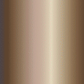 Satin Silver Bronze