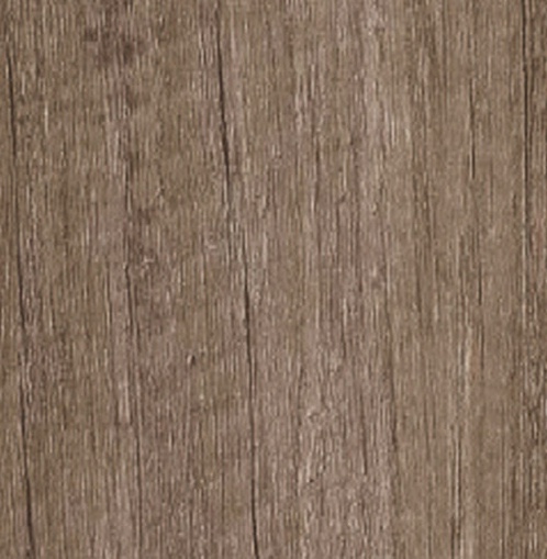 Nebraska Oak