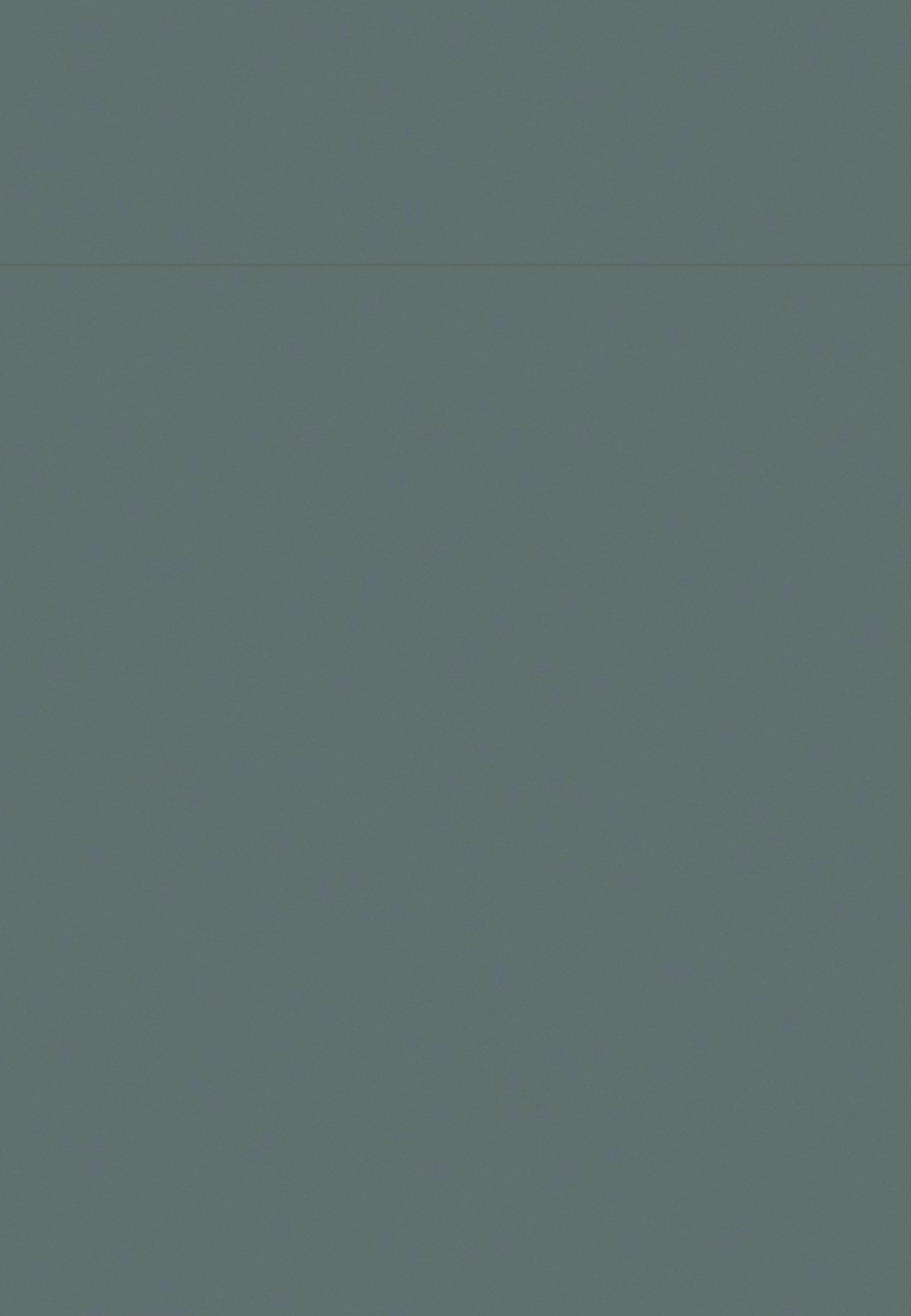 Oblique Gloss Graphite